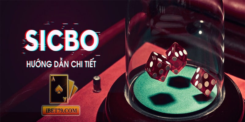 Bí quyết chinh phục tài xỉu từ cao thủ đảm bảo thắng lớn Bí quyết chinh phục tài xỉu từ cao thủ đảm bảo thắng lớn