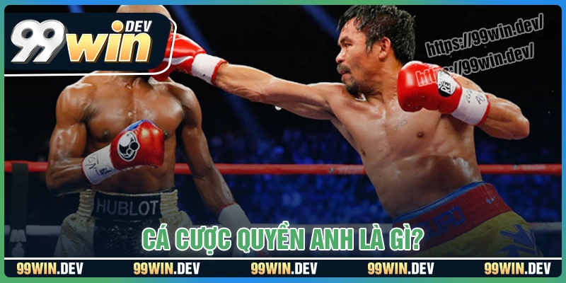 Cá cược Quyền Anh là gì? Cá cược Quyền Anh là gì?